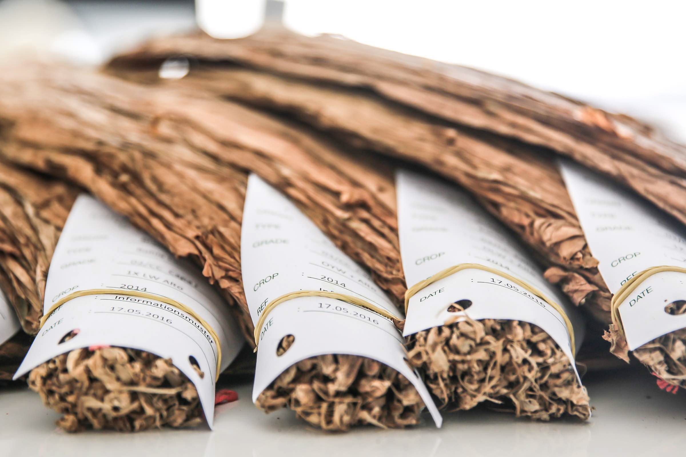 Zigarrendreher | Zigarrenroller | Trocadero | Zigarren | Drehen | Tabak | Banderole | Bauchbinde | Tabak | Sumatra | Brasilien | Indonesion | Cuba | Torpedo | Robusto | Churchill | Corona