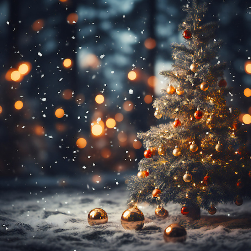 Fotobox | Hintergrund | Hannover | Hochzeit | Firmenfeier | Weihnachtsfeier | Lehmann | Eventservice | 240cm | 240cm | Mieten | vermietung | Bundle | Angebot | Buchen | Abstract | Weihnachten